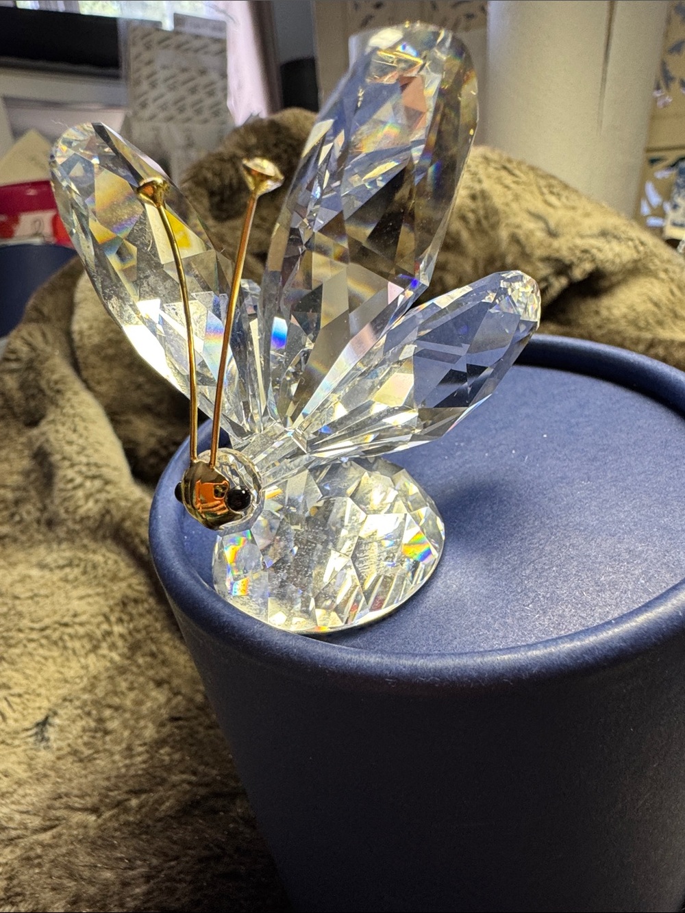 Swarovski Crystal Butterfly with Gold-Tone Antennae